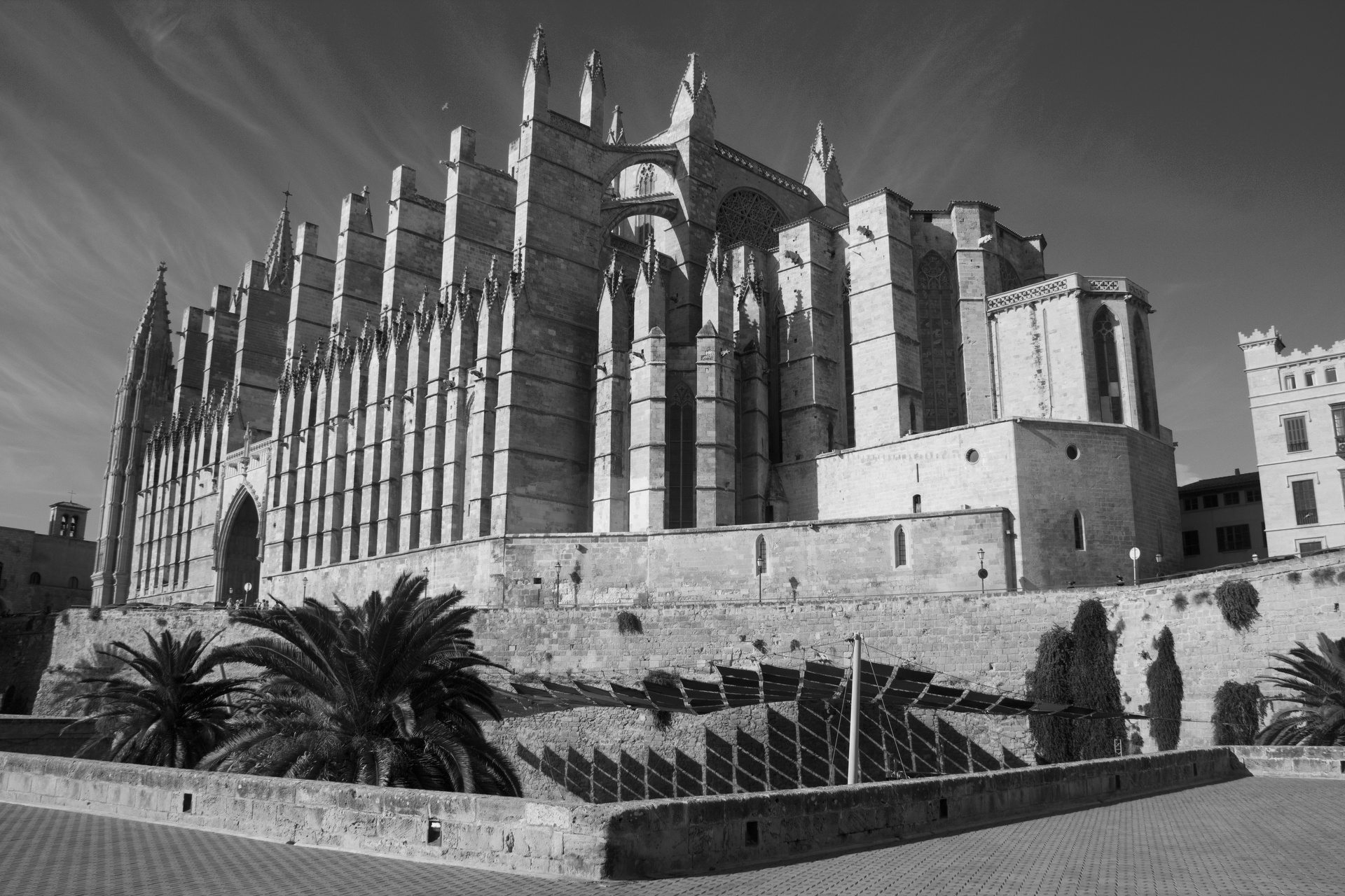 palma-de-mallorca-digitalphoto