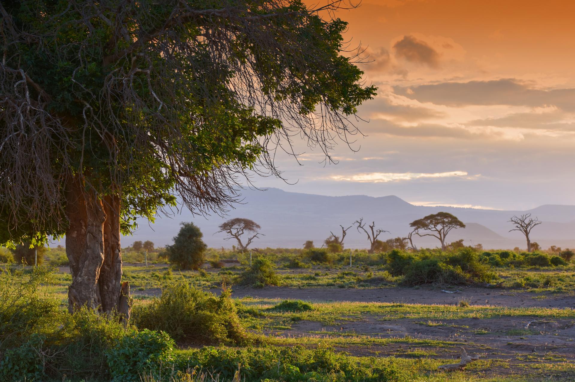 Amboseli Nationalpark DigitalPHOTO