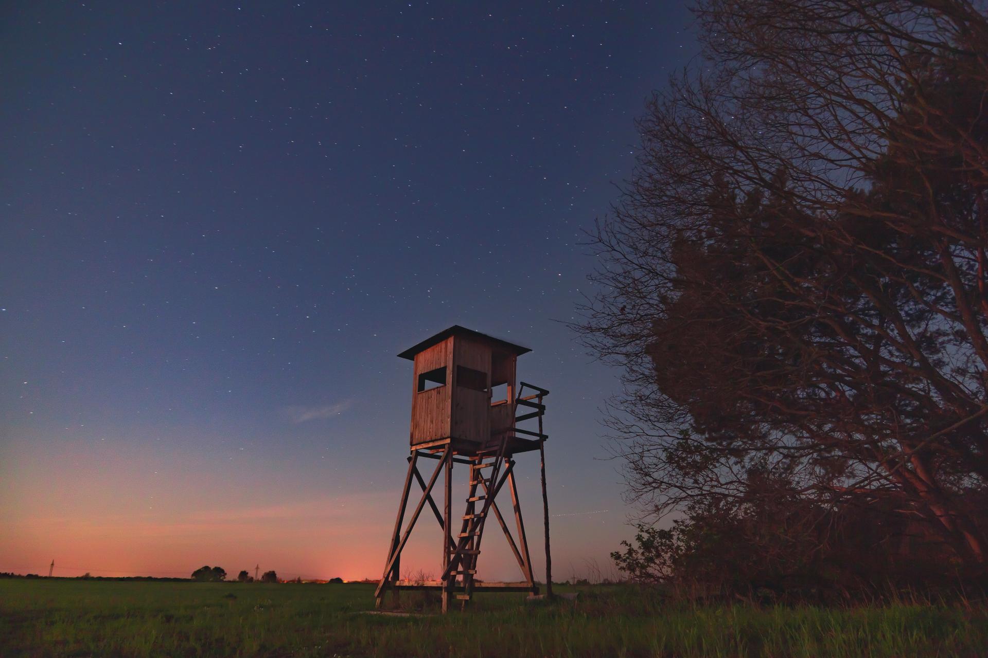 Sternklare Nacht mit Hochsitz eins Jägers DigitalPHOTO