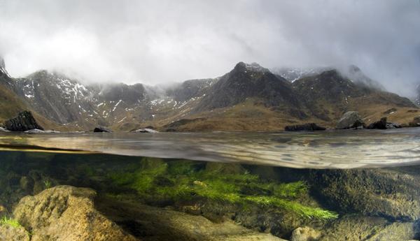 British Wildlife Photography Awards