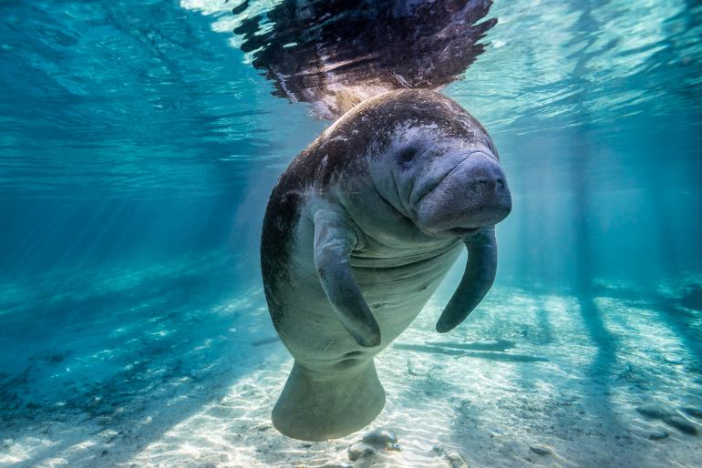 Tierisch gute Fotos aus der Lesergalerie