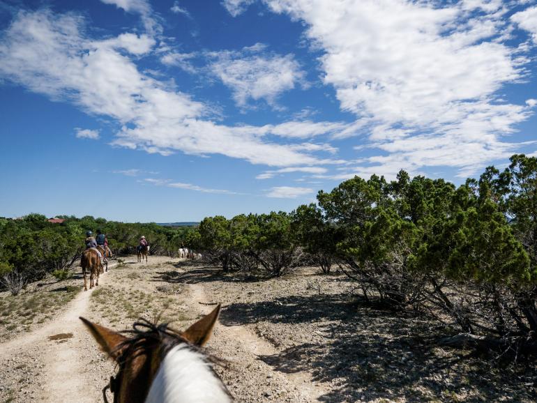 Profi unterwegs: Fototour durch Texas