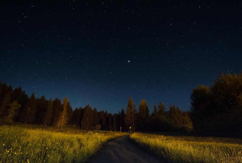 22 Tipps für tolle Fotos im Herbst