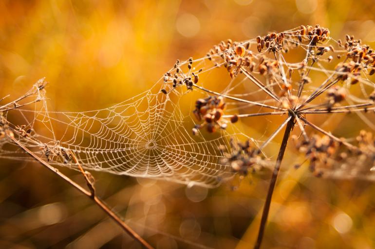 22 Tipps für tolle Fotos im Herbst