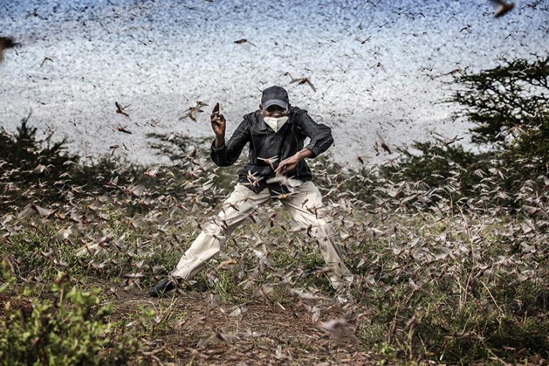 Gewinner Natur- und Tierwelt: Serie Locust Invasion in East Africa