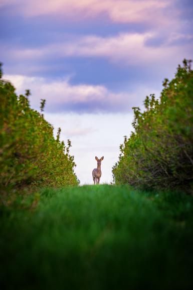 Faszinierende Tierwelten: DigitalPHOTO, Platz 4