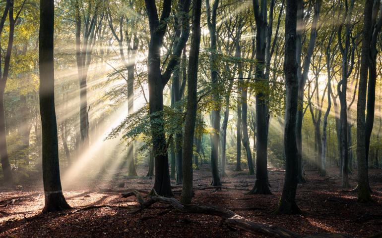 Platz 13: „Ein letztes Mal im Rampenlicht“