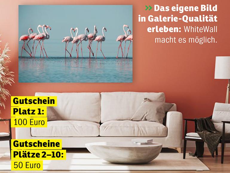 Das eigene Bild in Galerie-Qualität erleben: WhiteWall macht es möglich.