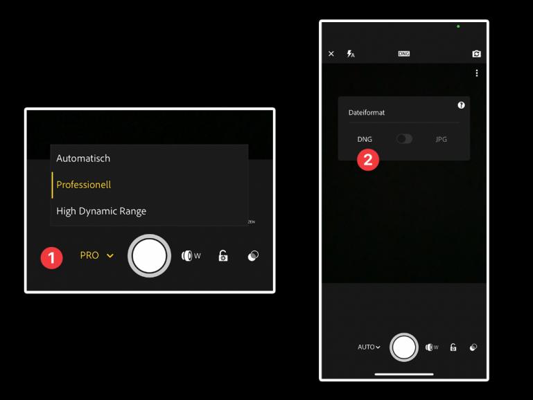 So wählen Sie zwischen RAW und JPEG.