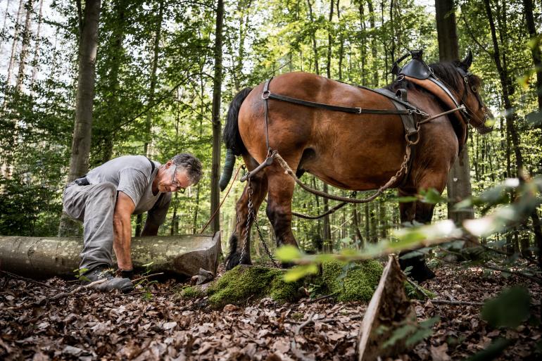 Fotograf Stefan Finger hatte das neue Standard-Zoom FUJINON XF16-55mmF2.8 R LM WR II im Einsatz. Damit konnte er schnell zwischen verschiedenen Brennweiten wechseln – ein großer Vorteil gerade in der Reportagefotografie. Fujifilm X-H2 | 17 mm | 1/160 s | f/2,8 | ISO 320