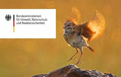 Ausstellung Europäischer Naturfotograf