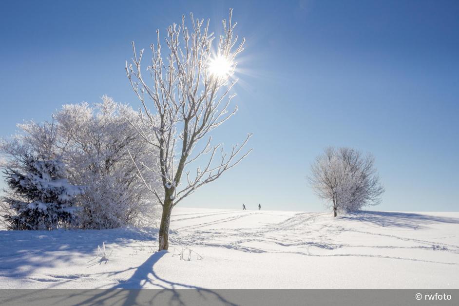 Winter mit Sonne DigitalPHOTO