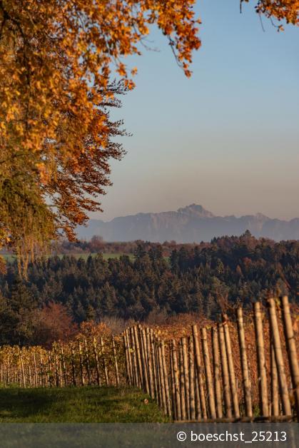 Herbststimmung Digitalphoto